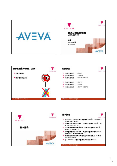 VPD.T-1211_VPD PDMS 管道及管段轴测图的定制