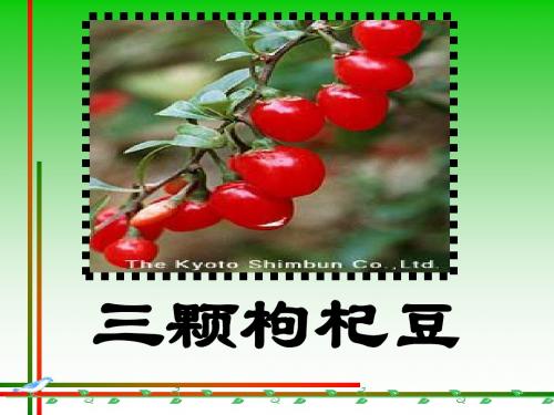 《三颗枸杞豆》PPT课件