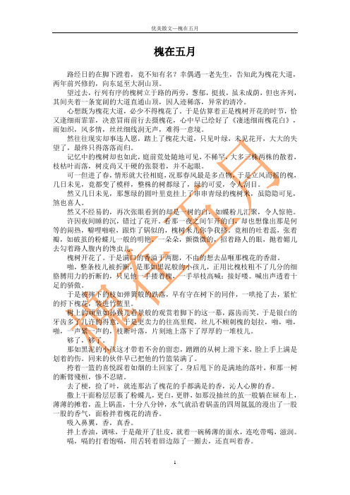 槐在五月