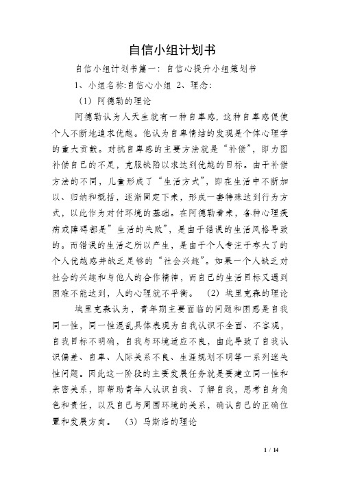 自信小组计划书