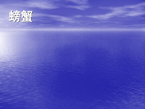 螃蟹