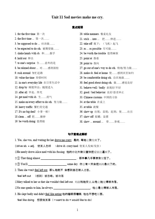 人教版新目标英语九年级 Unit11单元知识点小结
