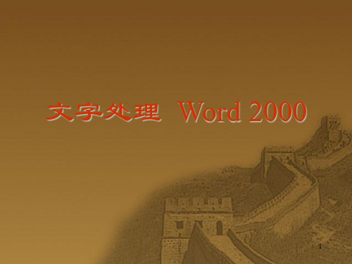《文字处理W》幻灯片PPT