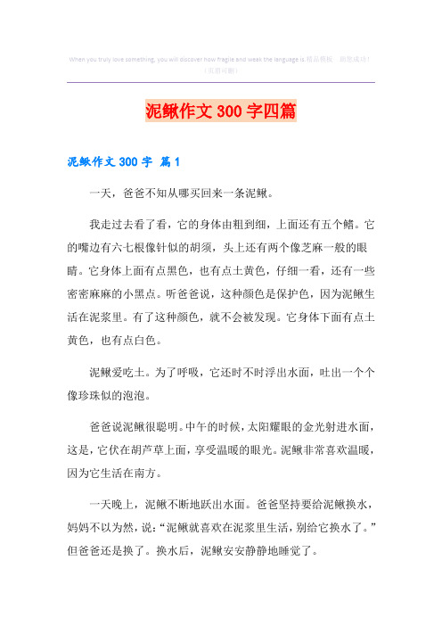 泥鳅作文300字四篇