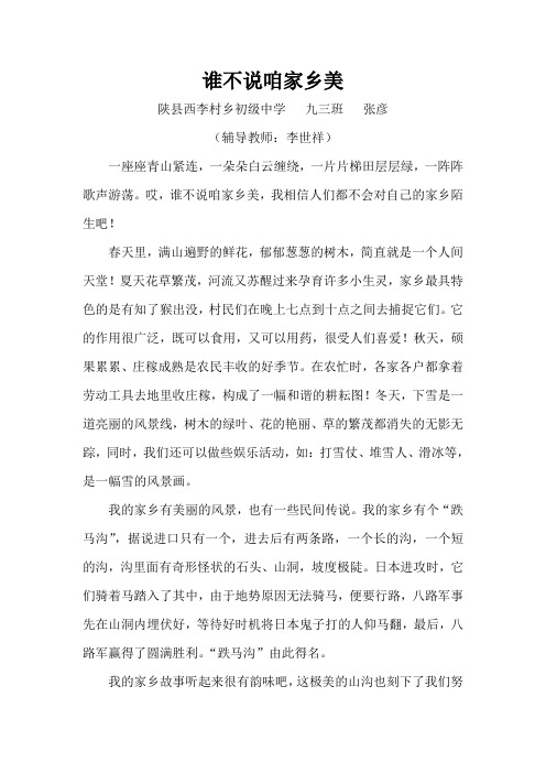 谁不说咱家乡美