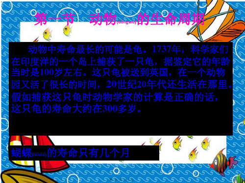 七年级科学 3.1《动物的生命周期》课件