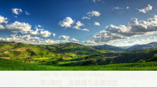 2019年高中化学苏教版选修3课件：专题3 第一单元 第1课时