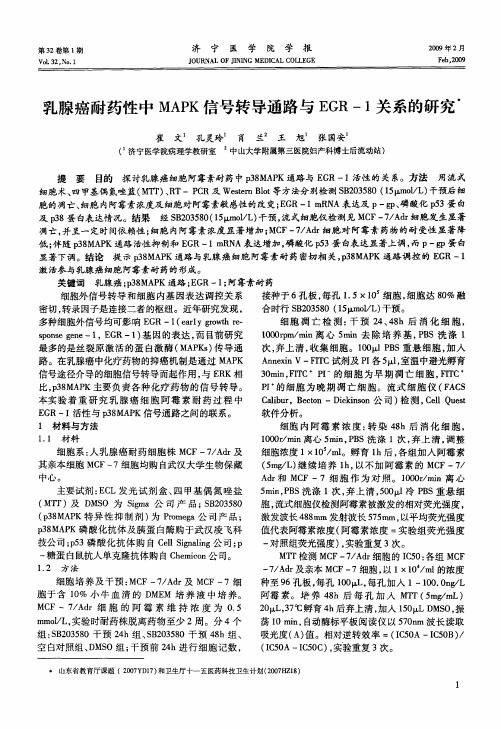 乳腺癌耐药性中MAPK信号转导通路与EGR-1关系的研究
