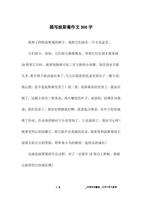 描写波斯菊作文300字