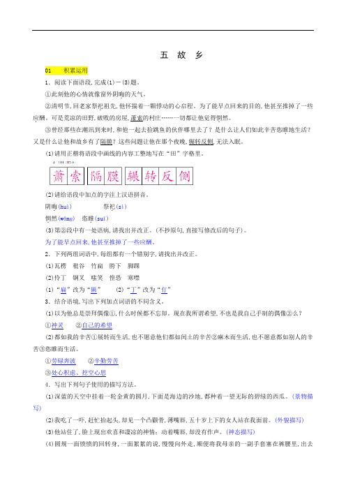苏教版九年级语文上册同步测试：故乡