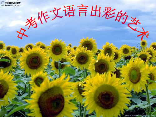 中考作文语言出彩的艺术课件.