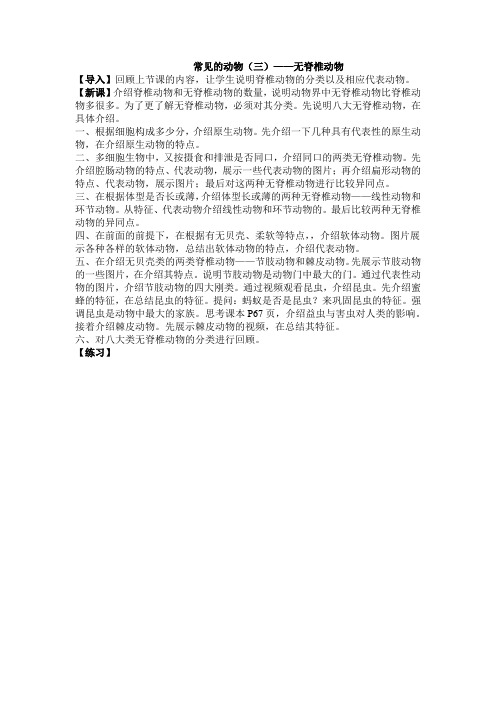 常见的动物(三)——无脊椎动物