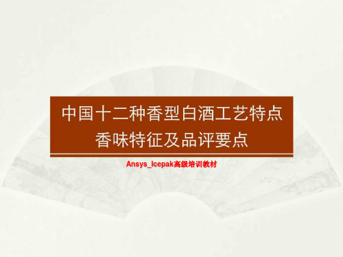 Ansys_Icepak高级培训教材