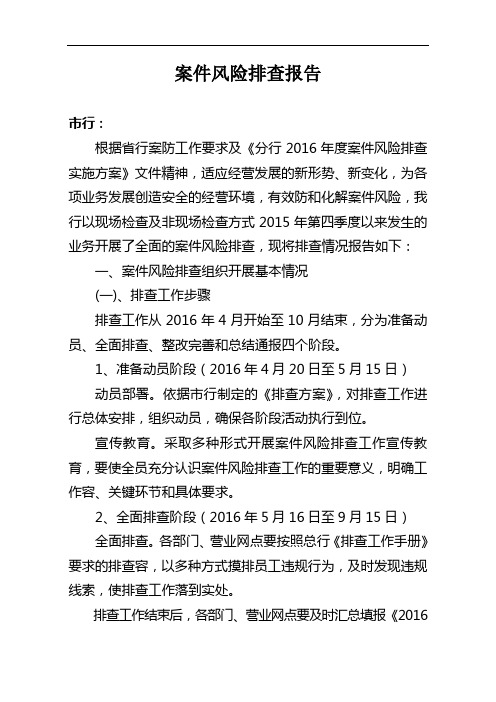 案件风险排查报告完成稿