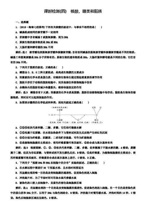 2019届高考全国卷人教版生物一轮复习课时检测(四) 核酸、糖类和脂质 Word版含解析-