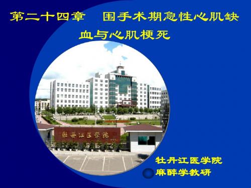 最新第二十四章围手术期急性心肌缺血与急性心肌梗死 - 牡丹江医学院-药学医学精品资料