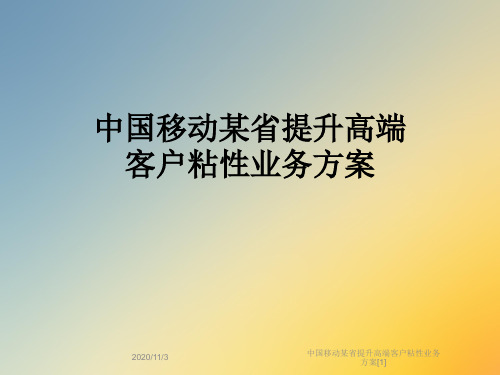 中国移动某省提升高端客户粘性业务方案[1]