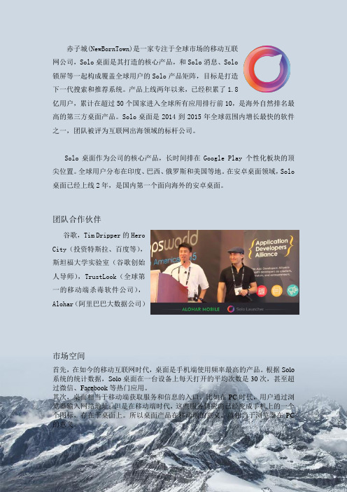 Solo桌面公司简介