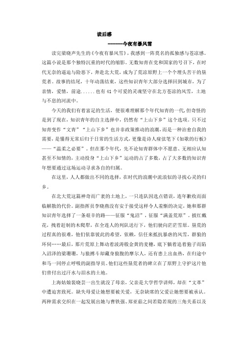 《 今夜有暴风雪》读后感