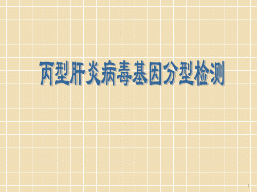 丙肝基因分型ppt课件