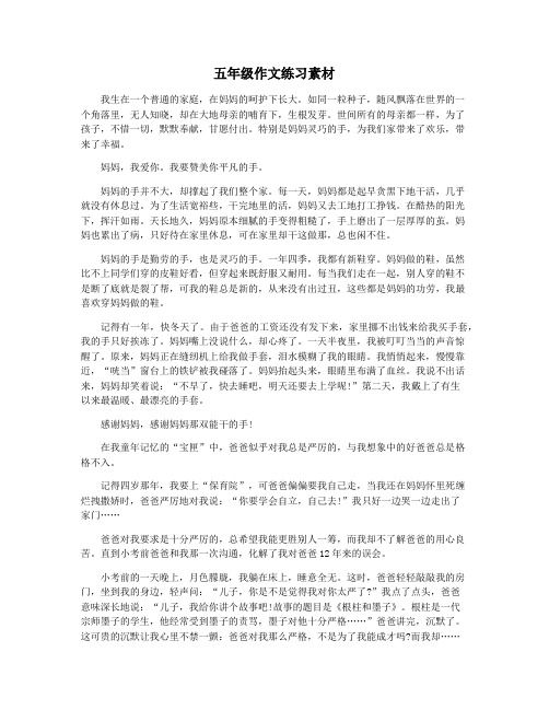 五年级作文练习素材