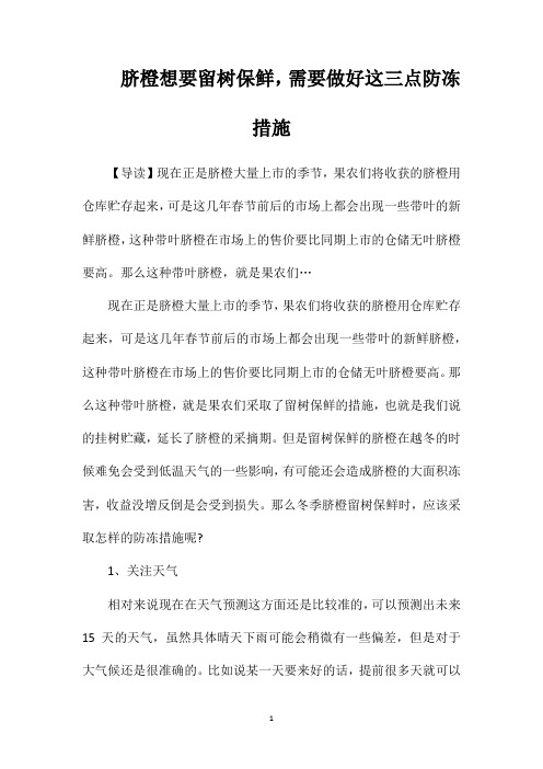 脐橙想要留树保鲜,需要做好这三点防冻措施