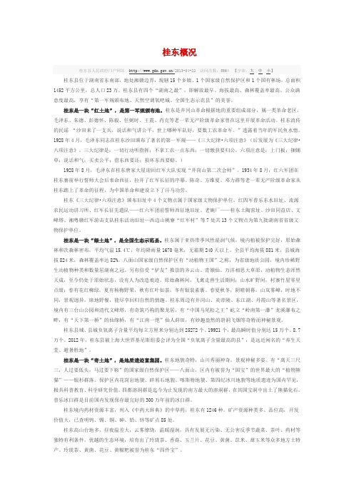 桂东概况
