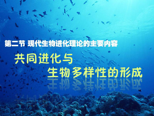 第七章第二节三共同进化