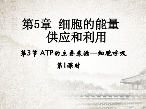 《ATP的主要来源—细胞呼吸》课件