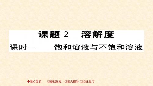 (人教版)九年级化学下册习题课件：9.课题2 溶解度(课