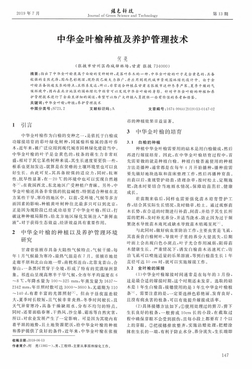 中华金叶榆种植及养护管理技术