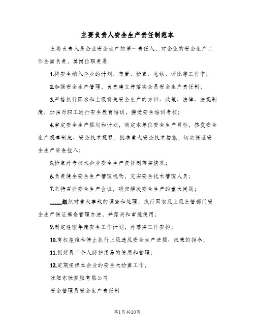 主要负责人安全生产责任制范本(9篇)