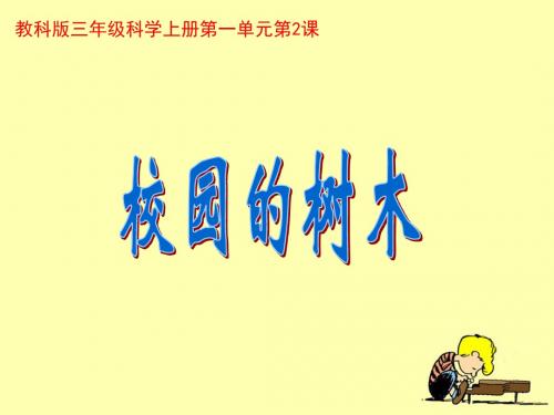2-《校园的树木》教学课件.ppt