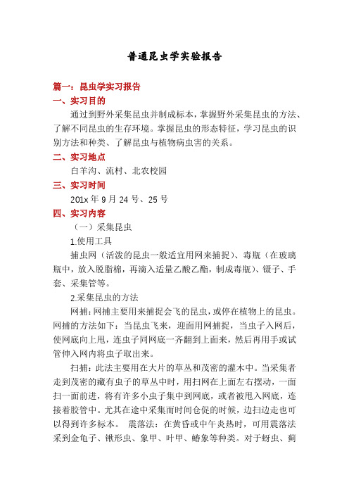 普通昆虫学实验报告