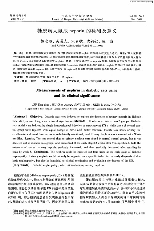 糖尿病大鼠尿nephrin的检测及意义