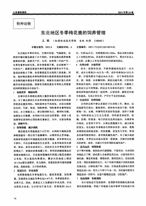 东北地区冬季梅花鹿的饲养管理