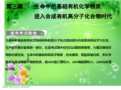 生命中的基础有机化学物质与合成有机高分子化合物