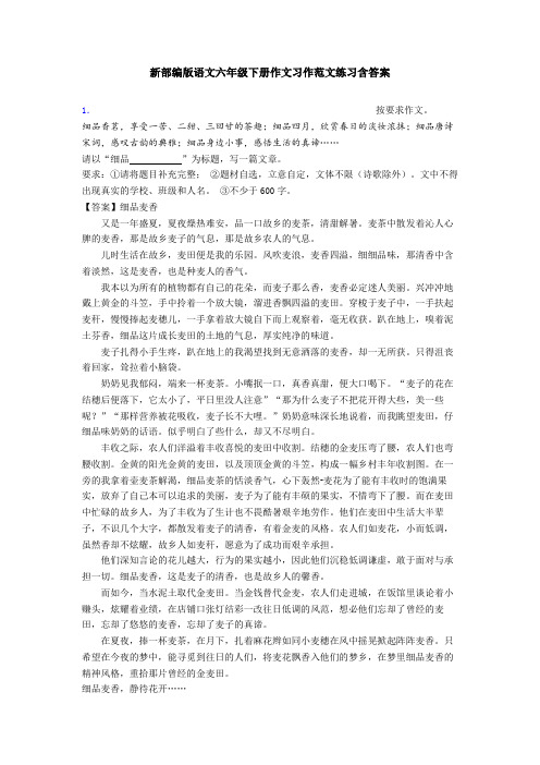 新部编版语文六年级下册作文习作范文练习含答案