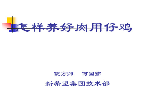 怎样养好肉用仔鸡