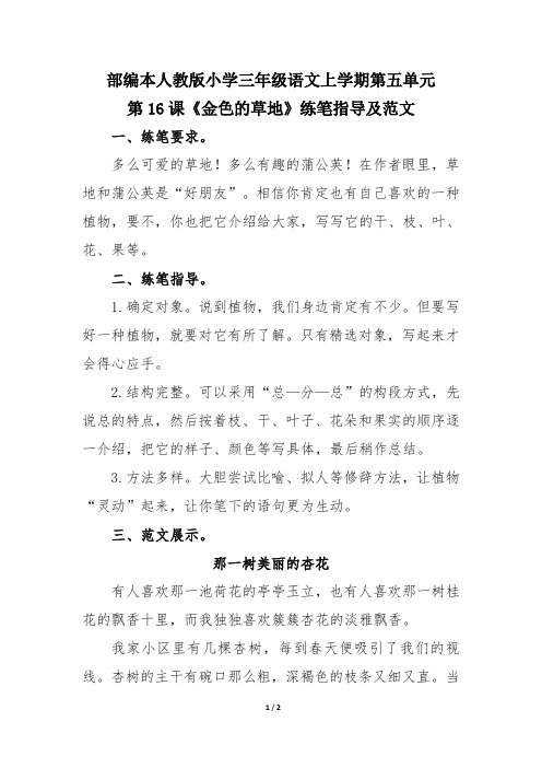 部编本人教版小学三年级语文上学期第五单元第16课《金色的草地》练笔指导及范文