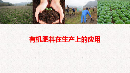 有机肥在生产上的应用.pptx