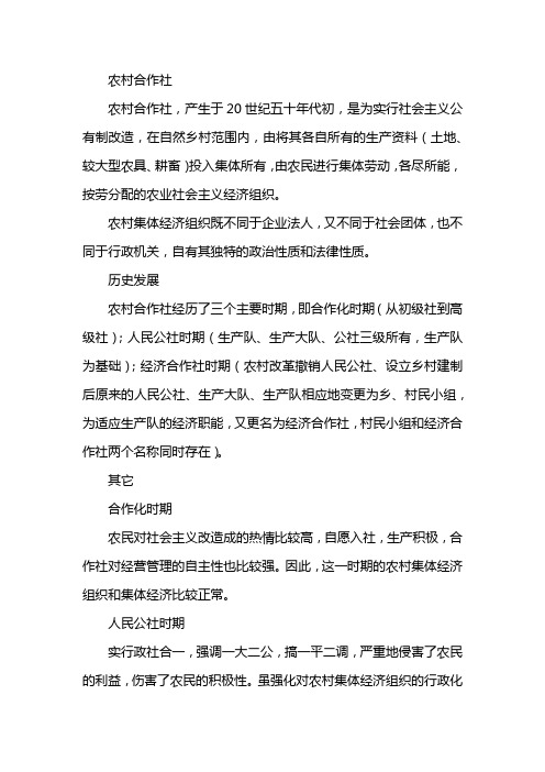 合作社经济是什么性质
