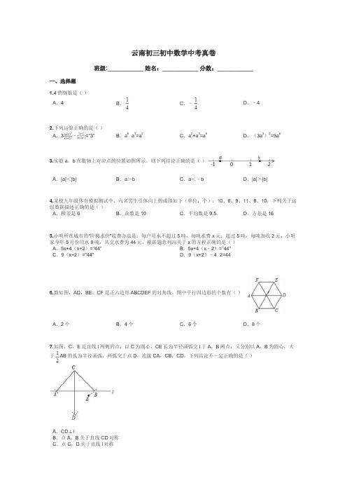 云南初三初中数学中考真卷带答案解析
