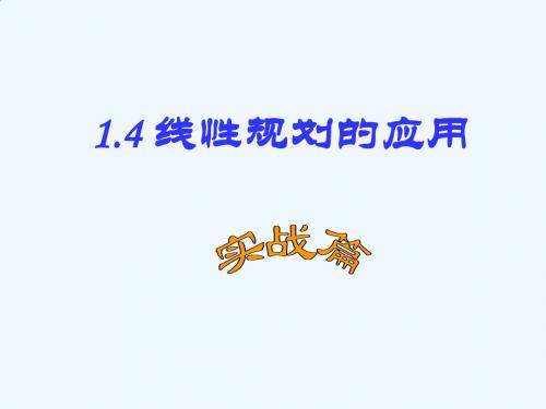 -线性规划的应用