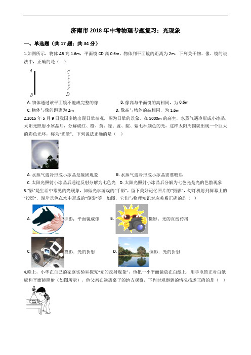 山东省济南市2018年中考物理专题复习：光现象