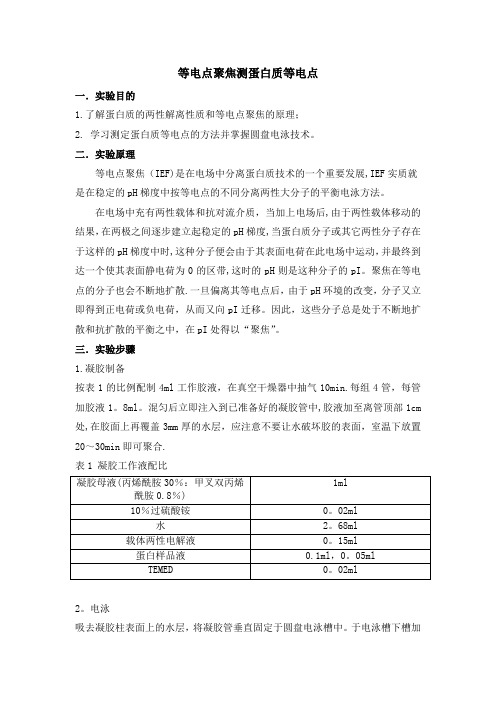 实验报告等电点聚焦测蛋白质等电点