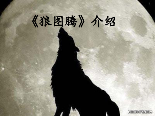狼图腾介绍 (1)