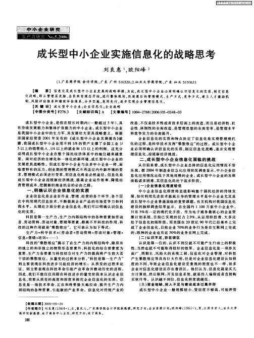 成长型中小企业实施信息化的战略思考