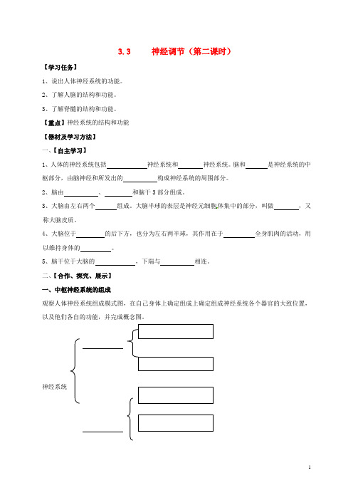 八年级科学上册 3.3 神经调节(二)学案(无答案)(新版)浙教版