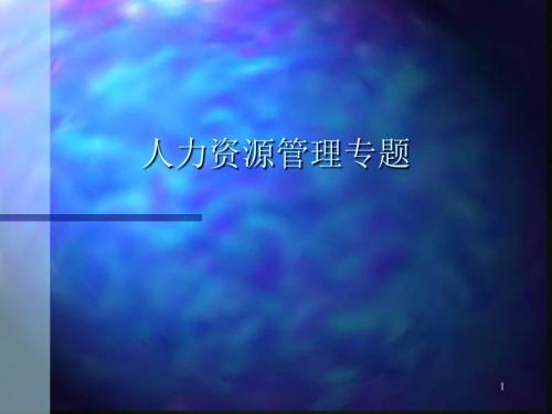 人力资源管理专题